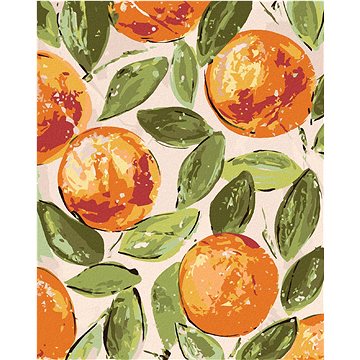 Zátiší pomeranče (Haley Bush), 40×50 cm, bez rámu a bez vypnutí plátna (5018540)