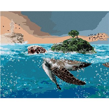 Želva jako ostrov v moři, 40×50 cm, bez rámu a bez vypnutí plátna (6053900)