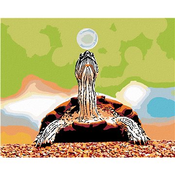 Želva s bublinou, 40×50 cm, vypnuté plátno na rám (6053891)