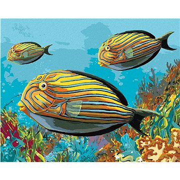 Žluté rybky, 40×50 cm, bez rámu a bez vypnutí plátna (6051640)