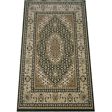 Kusový koberec Exclusive zelený 05 300 × 400 cm (21D2108/5)