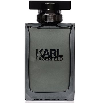 KARL LAGERFELD Men EdT 100 ml (3386460059183)