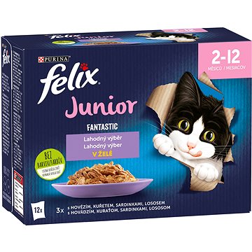 FELIX Fantastic Junior s kuřetem v želé Multipack 12x85g (7613039776810)