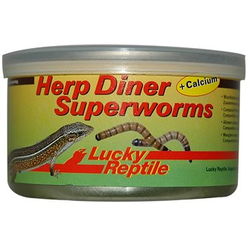 Lucky Reptile Herp Diner Superworms 35 g (4040483673342)
