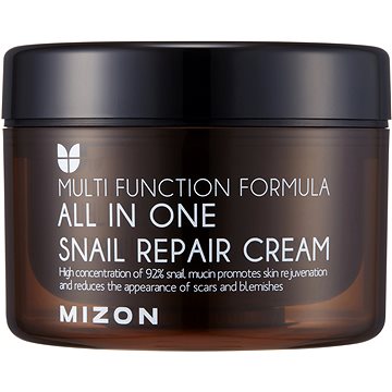 MIZON All In One Snail Repair Cream 120 ml (8809390126954)