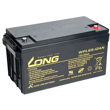 LONG baterie 12V 65Ah M6 LongLife 12 let (WPL65-12AN) (PBLO-12V065-F8AL)
