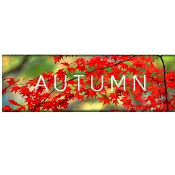 Autumn (PC/MAC/LX) DIGITAL (258721)