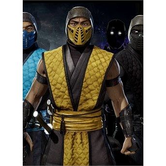 Mortal Kombat 11 Klassic Arcade Ninja Skin Pack 1 (PC) Steam DIGITAL (789910)