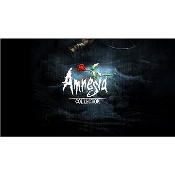 Amnesia Collection - PC DIGITAL (731305)