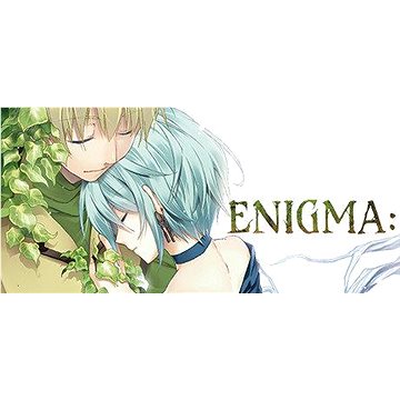 ENIGMA - PC DIGITAL (901909)