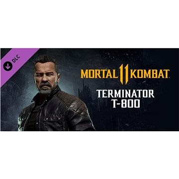 Mortal Kombat 11 Terminator T-800 - PC DIGITAL (855256)