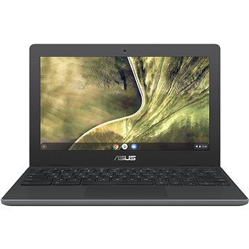 ASUS Chromebook C204 C204MA-GJ0512 Dark Grey (C204MA-GJ0512)