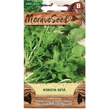 roketa-seta-8590383662008