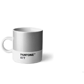 PANTONE Espresso - Silver 877 C, 120 ml (101040877)