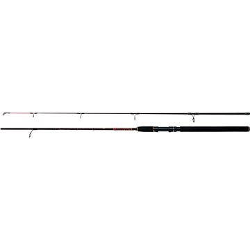 WFT Royal Never Crack Jig & Pilk 2,7m 40-160g (4250336199015)