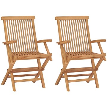 Skládací zahradní židle 2 ks masivní teakové dřevo, 315443 (315443)
