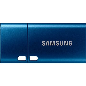 Samsung USB Type-C Flash Drive 256 GB (MUF-256DA/APC)