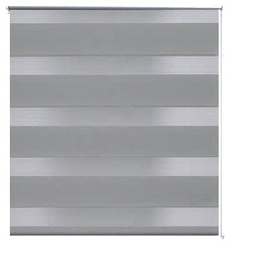 Roleta den a noc \ Zebra \ Twinroll 50x100 cm šedá (240187)