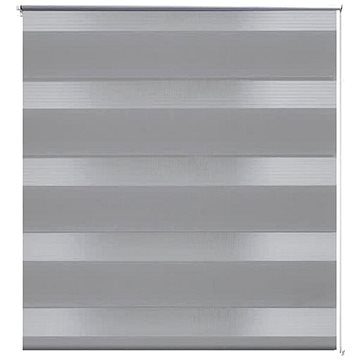 Roleta den a noc \ Zebra \ Twinroll 60x120 cm šedá