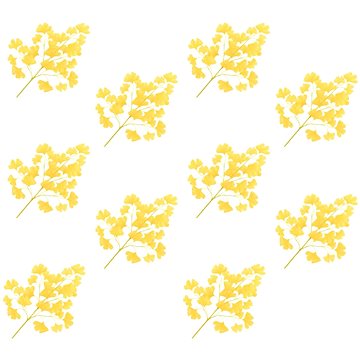 Umělé listy ginko biloba 10 ks žluté 65 cm (280130)