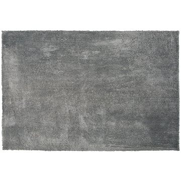 Koberec shaggy 140 x 200 cm světle šedý EVREN, 186346 (beliani_186346)