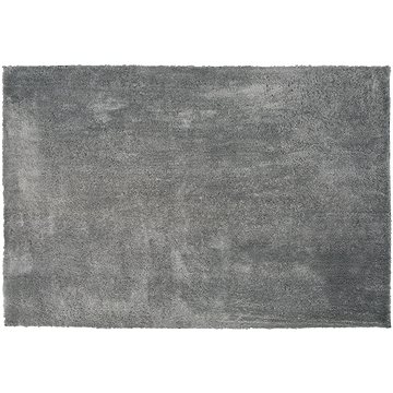 Koberec shaggy 200 x 300 cm světle šedý EVREN, 186349 (beliani_186349)