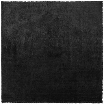 Koberec černý 200 x 200 cm Shaggy EVREN, 186359 (beliani_186359)