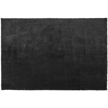 Koberec černý 200 x 300 cm Shaggy EVREN, 186360 (beliani_186360)