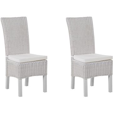 Sada dvou ratanových židlí v bílé barvě ANDES, 118293 (beliani_118293)