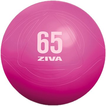 ZIVA gymnastický míč 55 cm, růžový (EPS-CFYB-0055-PK)