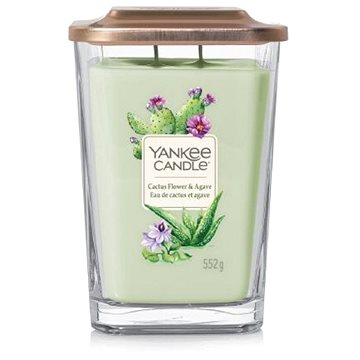 YANKEE CANDLE Cactus Flower and Agave 552 g (5038581111889)