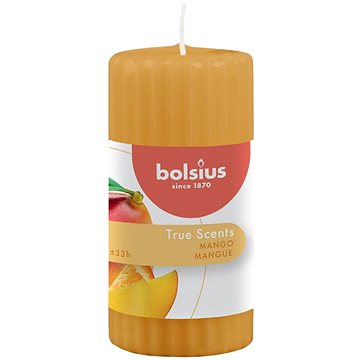 BOLSIUS True Scents Mango 120 × 58 mm (8717847152015)