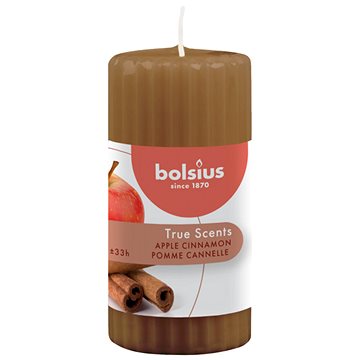 BOLSIUS True Scents Apple Cinnamon 120 × 58 mm (8717847151995)