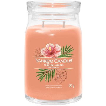 YANKEE CANDLE Signature sklo 2 knoty Tropical Breeze 567 g (5038581129303)