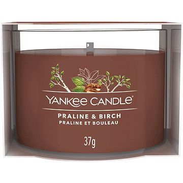 YANKEE CANDLE Praline & Birch 37 g (5038581125701)