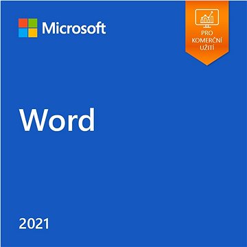 Microsoft Word LTSC 2021 (elektronická licence) (DG7GMGF0D7D3)
