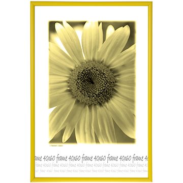 TRADAG Fotorámeček 40 × 60 cm, žlutý (3840_6004)