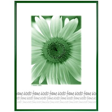 TRADAG Fotorámeček 60 × 80 cm, zelený (3860_8006)