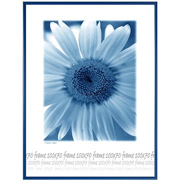 TRADAG Fotorámeček 70 × 100 cm, modrý (3870_1005)