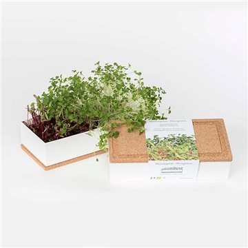 Grow Box Duo - Řepa, Brokolice (GBOX-DUO-BB)