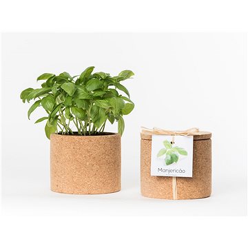 Grow Cork Pot - Jahody (GCPOT-STRAWBERRY)