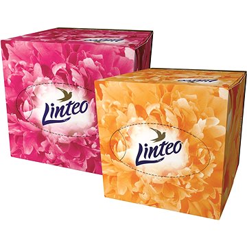 LINTEO Premium box 60 ks (8594158370556)