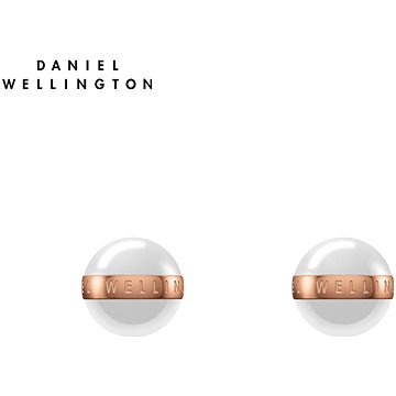 Daniel Wellington Aspiration Earrings DW00400152 (DW00400152)