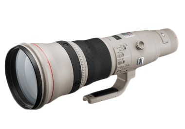 CANON EF 800MM F/5,6 L IS USM