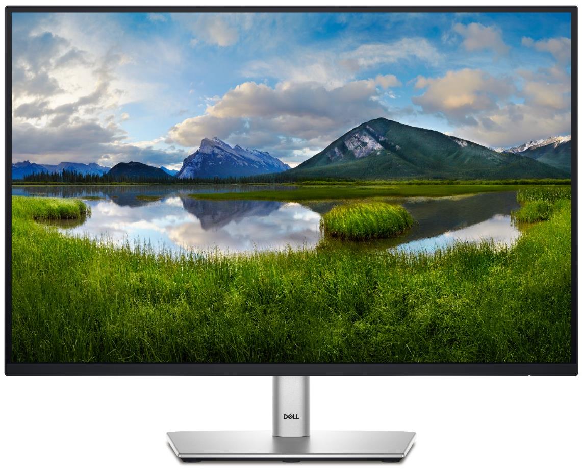 24" Dell P2425 Professional monitor