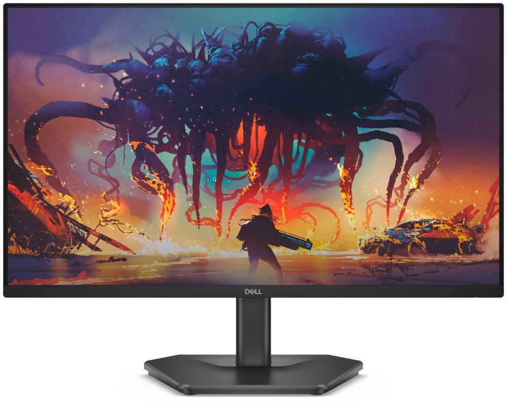 23,8" Dell SE2425HG
