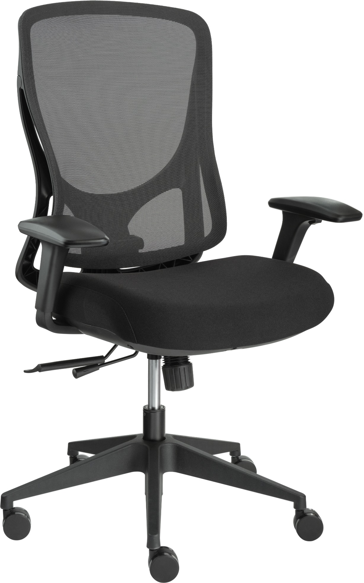AlzaErgo Chair Oasis 1 černá kancelářská židle