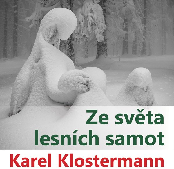 Ze světa lesních samot