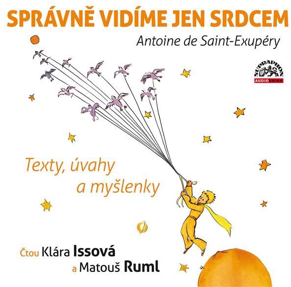 Správně vidíme jen srdcem - Texty, úvahy a myšlenky