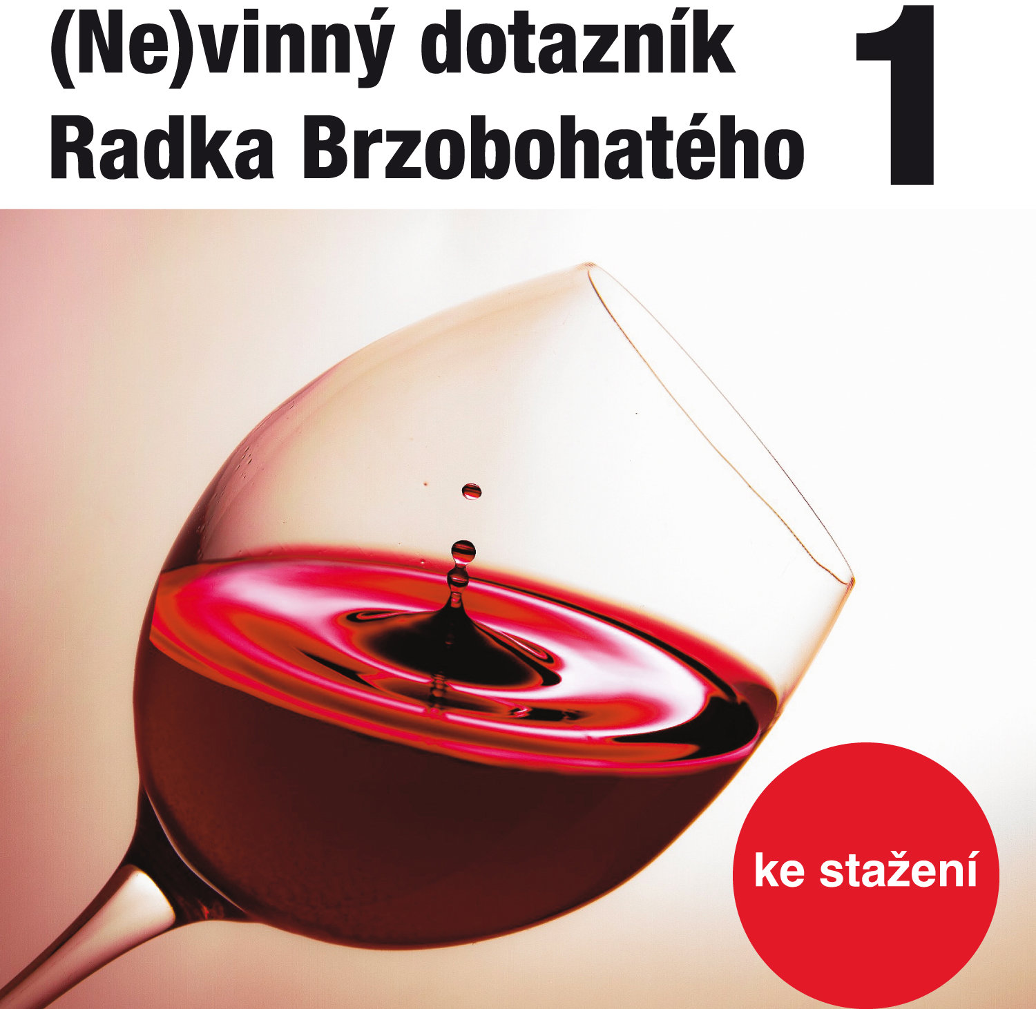 (Ne)vinný dotazník Radka Brzobohatého 1.